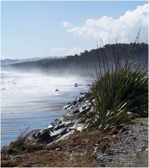 misty Bruce Bay morning