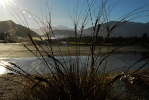 Mt Cook - photo courtesy Andrew Morton