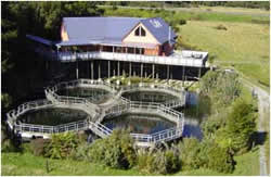 South Westland Salmon Farm & Caf&eacute;